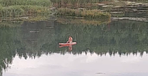 Участок ЛПХ 24 сотки с источником питьевой воды, Острогожский р-он