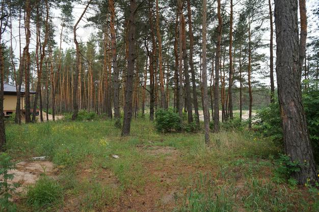 Участки от 10 соток в коттеджном пос. Петровские озера, Сомово